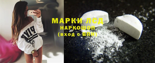 сатива Корсаков