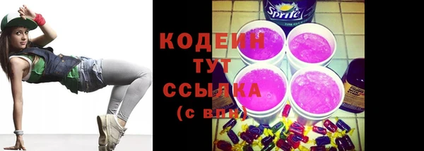 сатива Корсаков