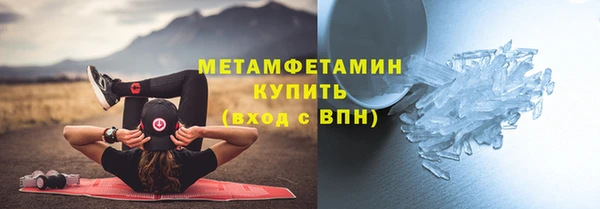сатива Корсаков