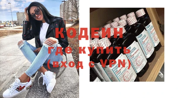 сатива Корсаков