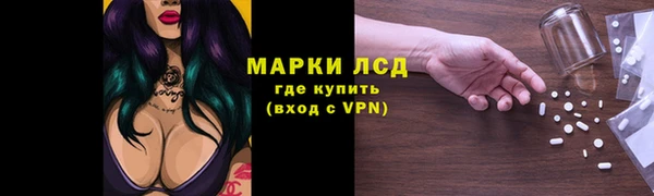 сатива Корсаков