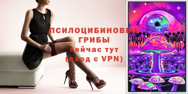 сатива Корсаков