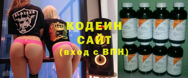 сатива Корсаков