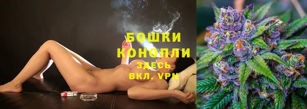 сатива Корсаков