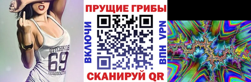 Купить где  Бирюч  Псилоцибиновые грибы Psilocybe 